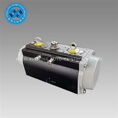 Aktuator Pneumatik Anodisasi