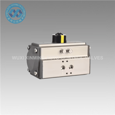 Aktuator pneumatik akting tunggal/ganda