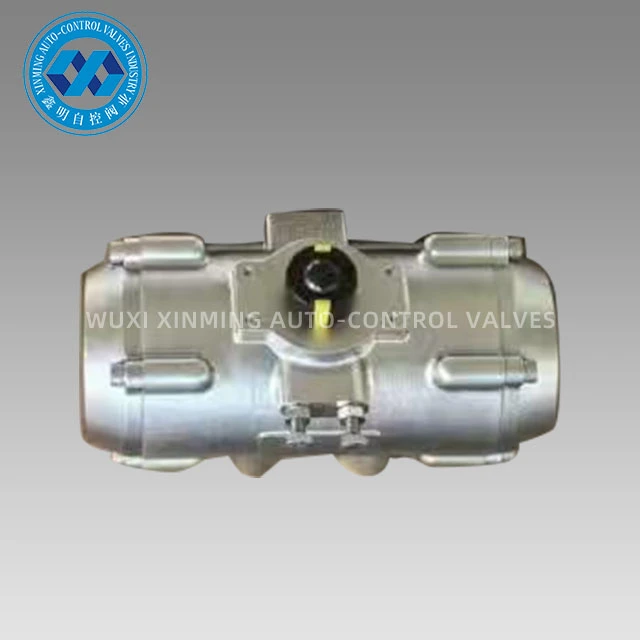 Katup Pneumatik Baja Tahan Karat